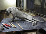 beelden grote katten