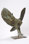 beelden roofvogels