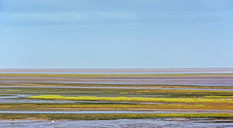 Waddenzee I