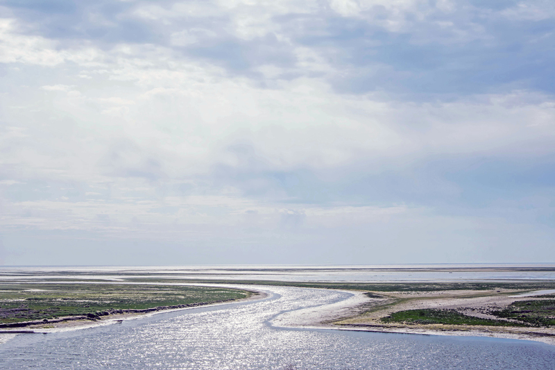 Waddenzee II