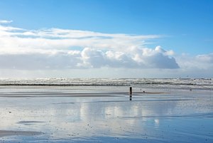 Mijn favoriete plek om te fotograferen zijn de vele landschapstypen rond het Posthuys, op het mooie westelijke stuk van Vlieland. De Posthuyskwelder, de Kroonpolders, het Noordzeestrand en Bomenland zijn bij ieder bezoek weer totaal anders. Het licht en de enorme ruimte zijn, voor mij erg inspirerend. Maar ook op andere plekken maak ik graag landschapsfoto's. Het blijft een fascinatie, vooral als het licht mooi is.