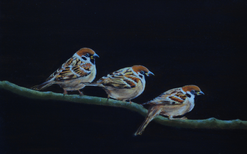 3 mussen