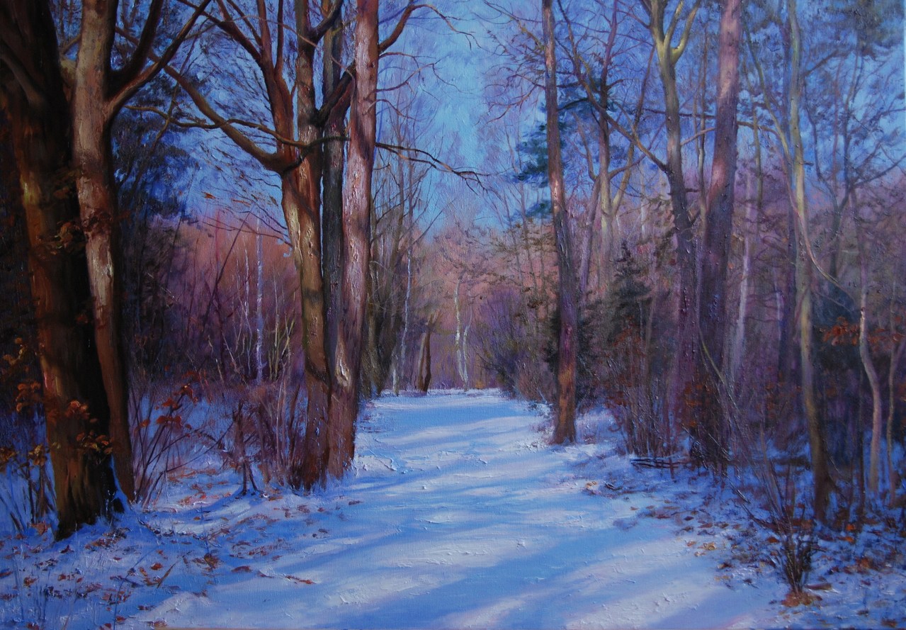 Sneeuwlandschap
