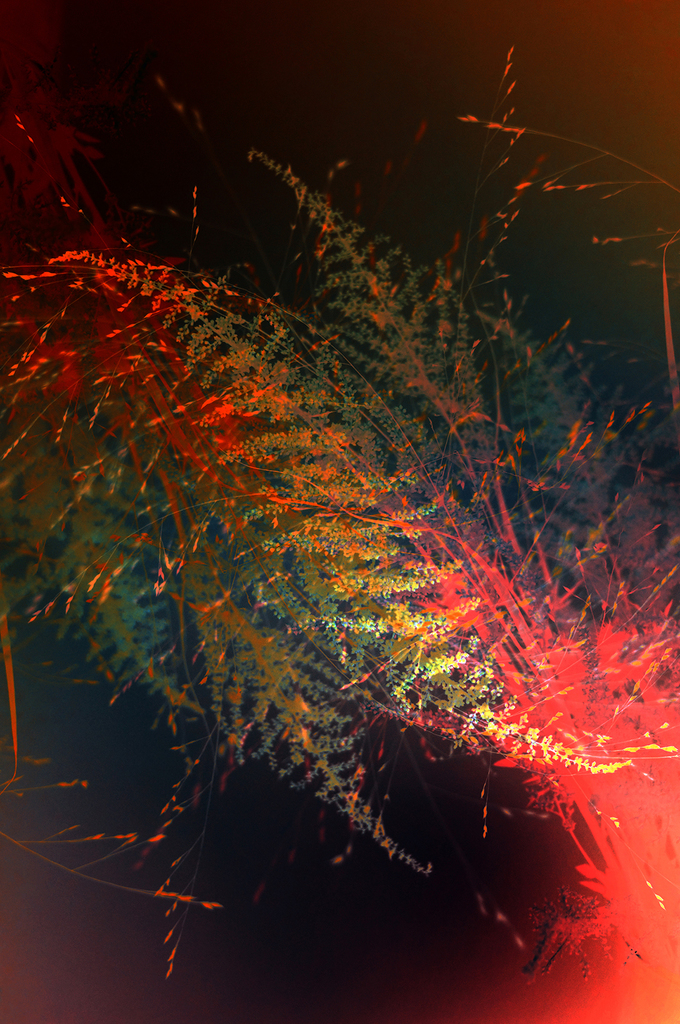 Waving grass II