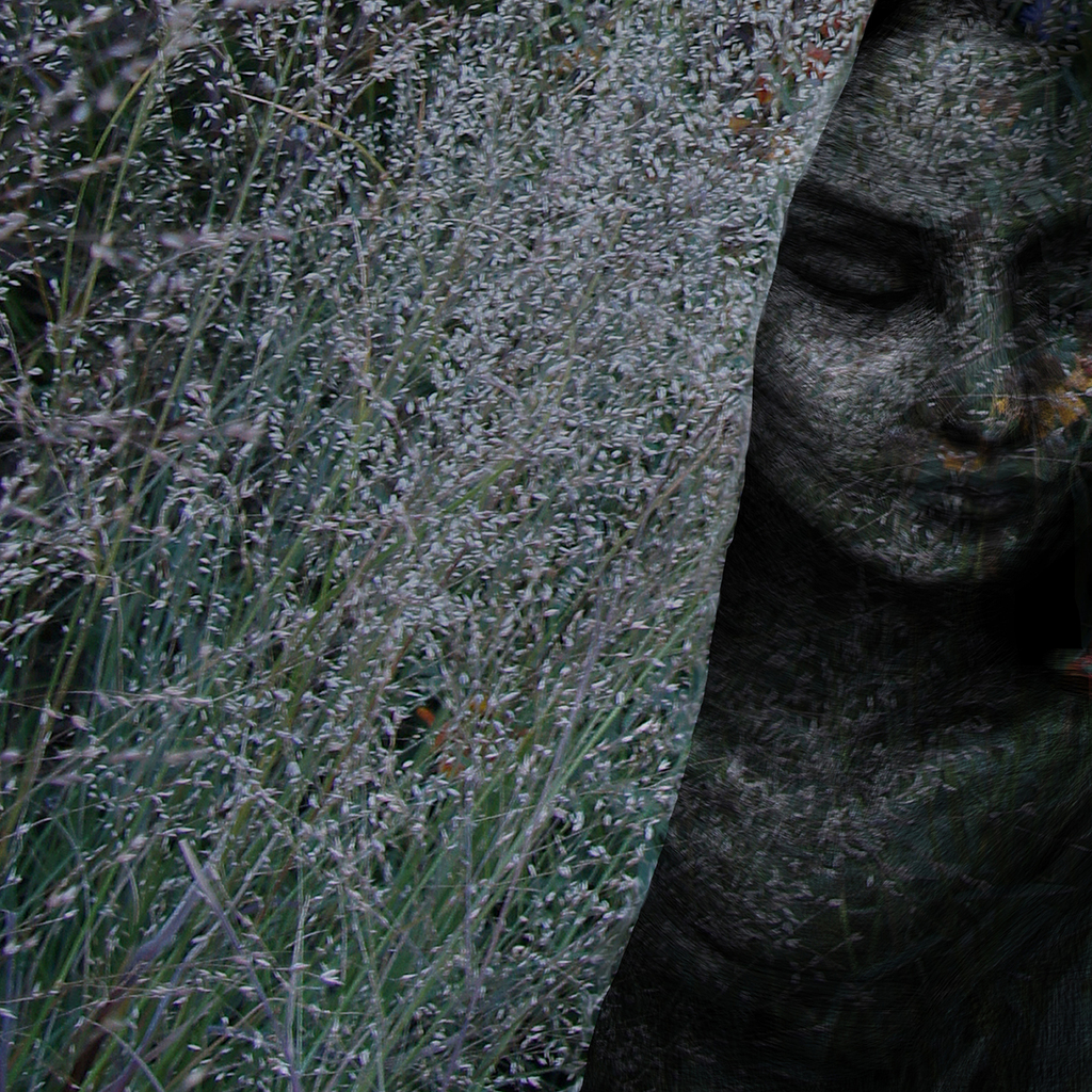 Mourn