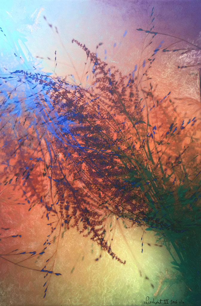 Waving grass I