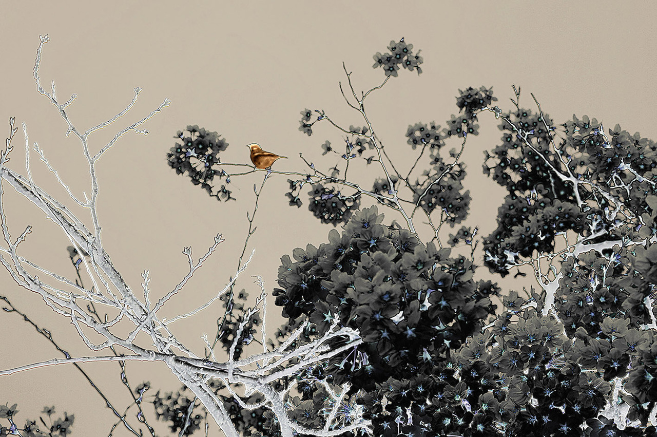 Japanese Bird