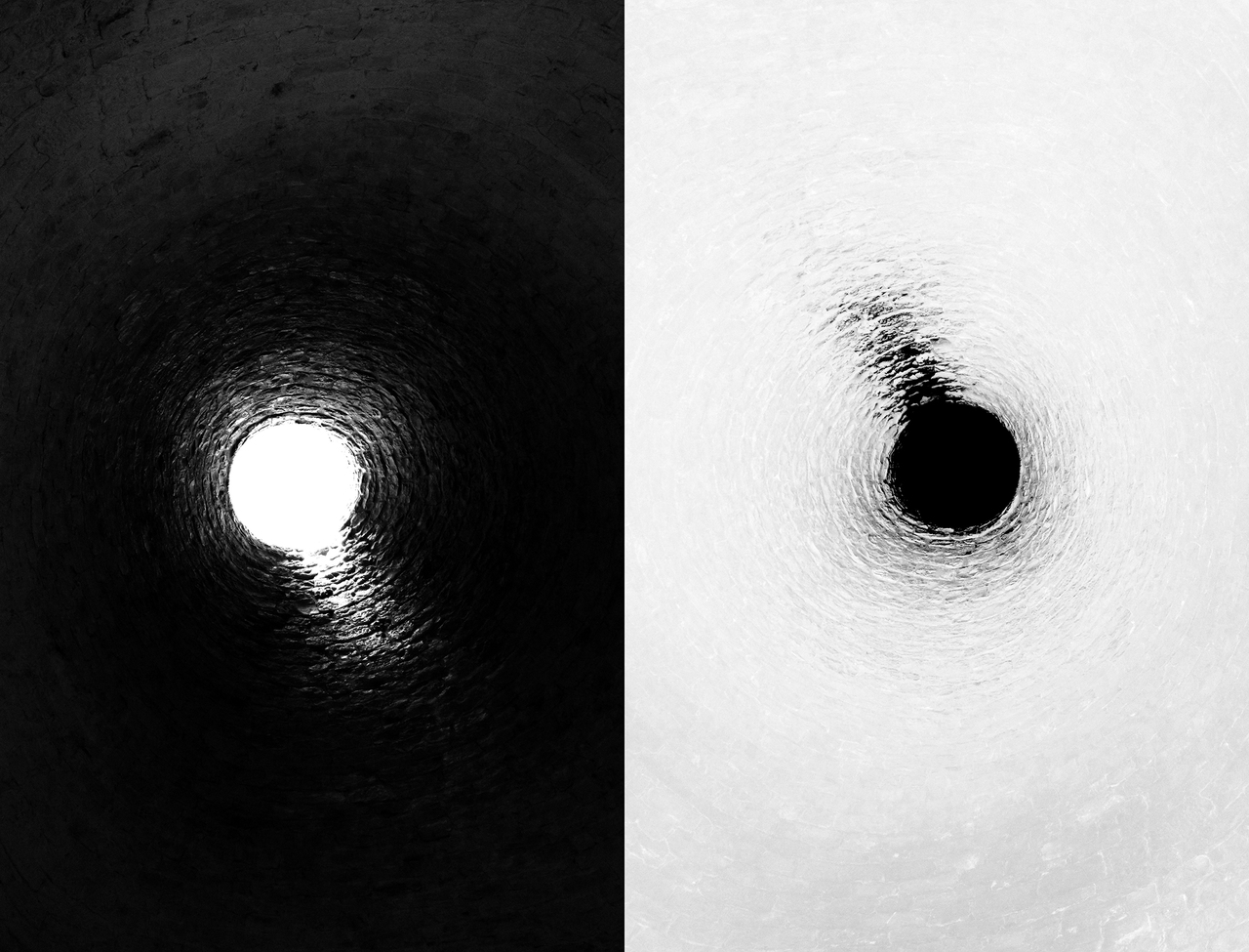 (W)hole