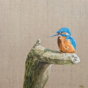 Vogels in de hoofdrol