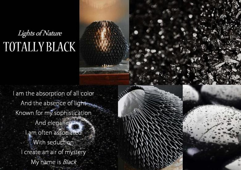 JAPAN - LIGHTS of NATURE - Black