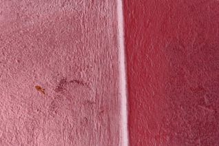 Roze en roze Roze en roze