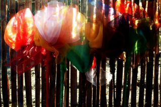 Travelling Flowers 1 Travelling Flowers 1