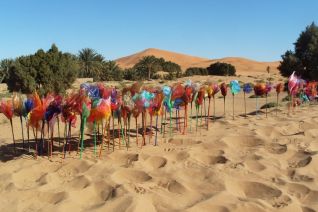 Travelling Flowers Sahara 1 Travelling Flowers Sahara 1