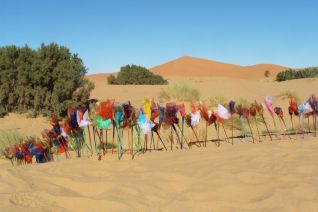 Travelling Flowers Sahara 4 5 Travelling Flowers Sahara 4 5
