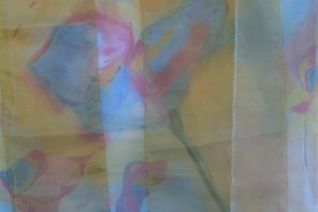 Bloemen achter voiles Bloemen achter voiles