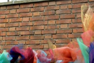 Travelling Flowers Eindhoven I Travelling Flowers Eindhoven I
