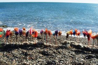 The line of flowers The line of flowers