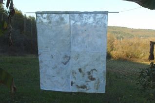 Sheep Wool in landscape Sheep Wool in landscape