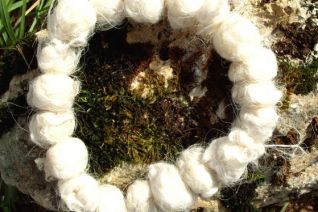 01.Sheepswool 01.Sheepswool