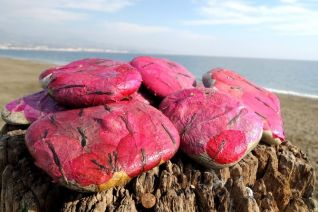 Pink Stones I Pink Stones I