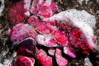 Pink Stones II Pink Stones II