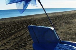 11. Blue flower on the beach 11. Blue flower on the beach
