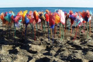 14. Flowers on the beach 14. Flowers on the beach