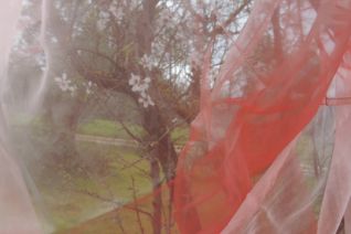 20.Fading Alhaurin outdoor 20.Fading Alhaurin outdoor