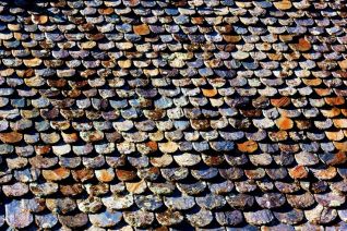 Rythme of the roof Rythme of the roof