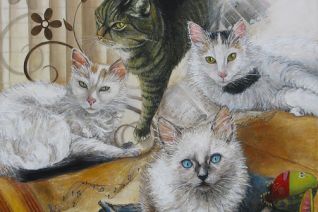 katten katten