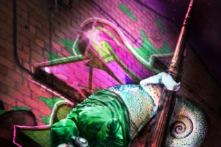 creatieve kameleon creatieve kameleon