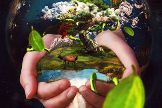 love our planet! love our planet!