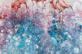 flamingo's flamingo's