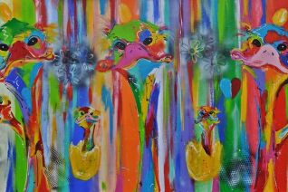 STRUISVOGELS STRUISVOGELS
