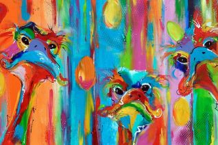 STRUISVOGELS GRAPPIG STRUISVOGELS GRAPPIG