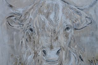 SCHOTSE HOOGLANDR SCHOTSE HOOGLANDR