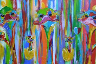 STRUISVOGELS STRUISVOGELS