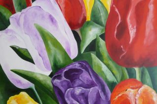 Tulpen Tulpen