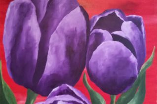De bonte Tulp De bonte Tulp