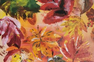 Herfst kleuren. Herfst kleuren.