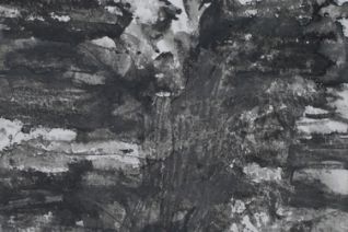 V. V.
