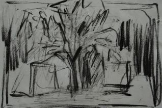 Appelboom Appelboom