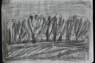Landschap Landschap
