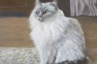 Jules Jules