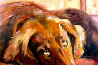 Flatcoated retriever Flatcoated retriever