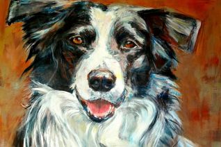 Border collie (2) Border collie (2)