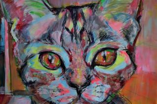 kattenliefde kattenliefde