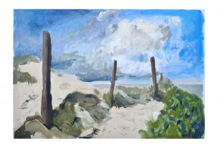 Vlieland duinpad naar zee Vlieland duinpad naar zee
