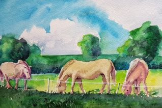 konik paarden konik paarden