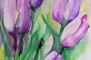 Tulpen Tulpen